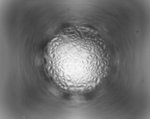 X0000082140515200701262246
