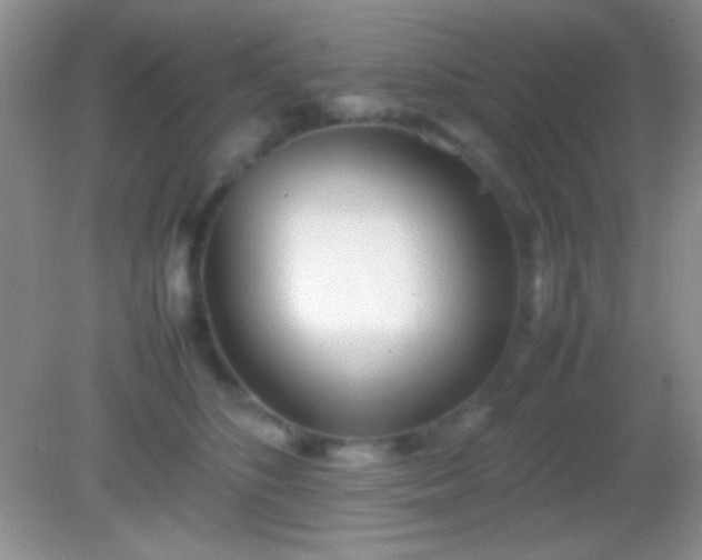 X0000082140516200701262246