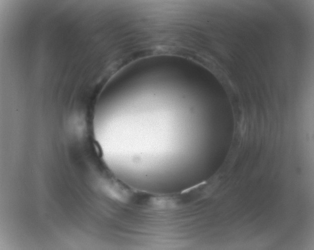 X0000082140520200701262246