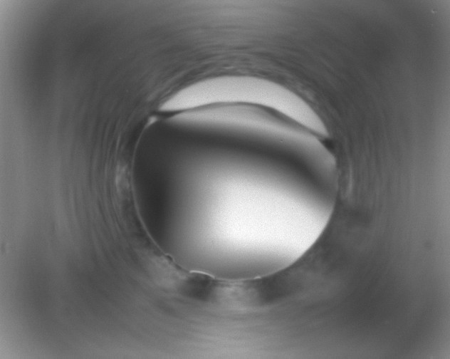 X0000082140521200701262246