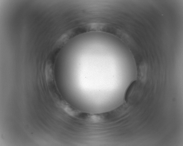 X0000082140522200701262246