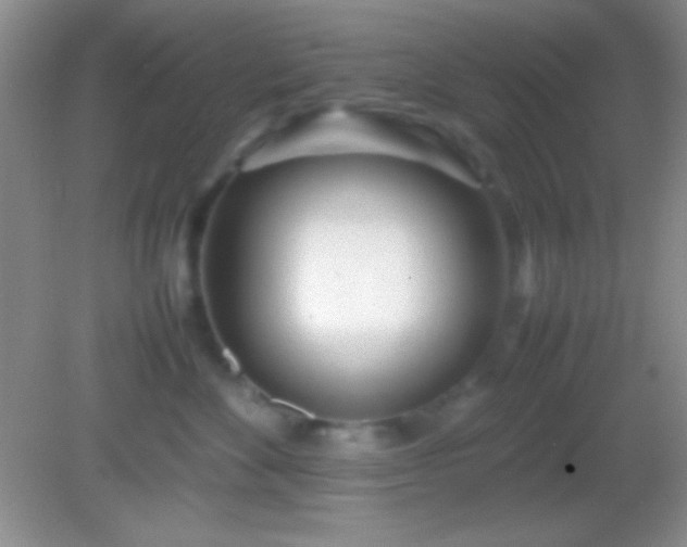 X0000082140524200701262246
