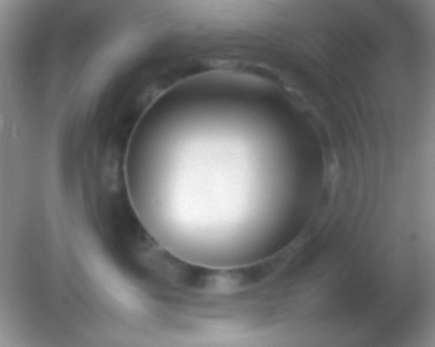 X0000082140525200701262246
