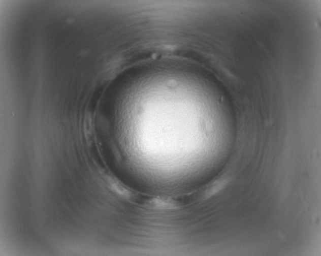 X0000082140528200701262246