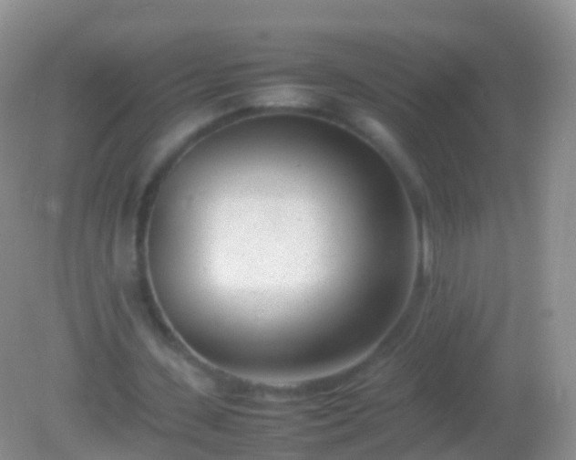 X0000082140531200701262245