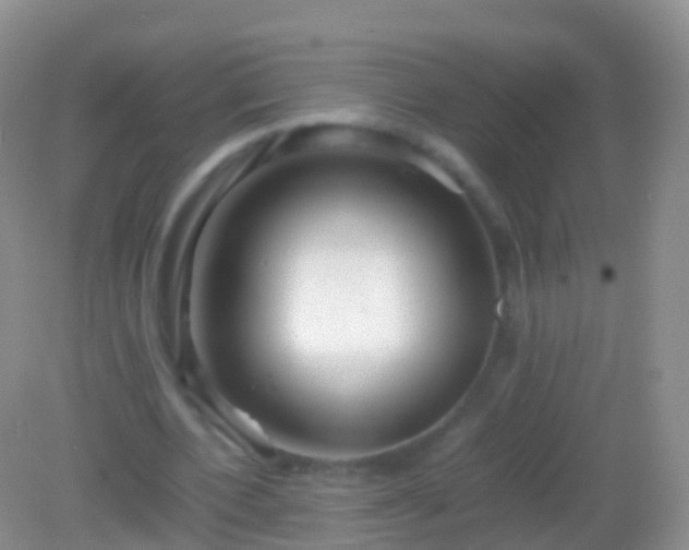X0000082140532200701262245