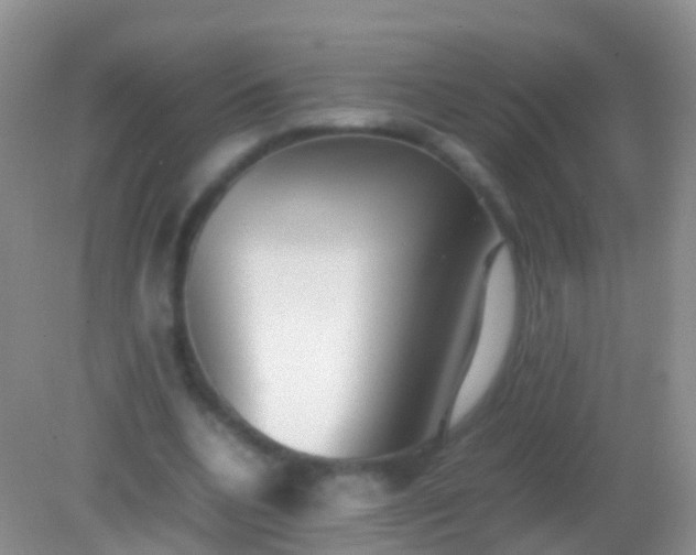 X0000082140536200701262245
