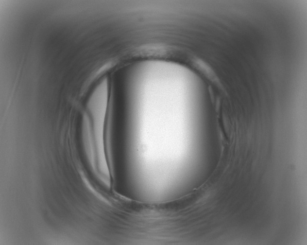 X0000082140538200701262245