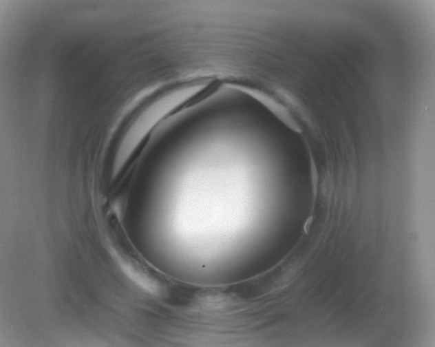 X0000082140540200701262245