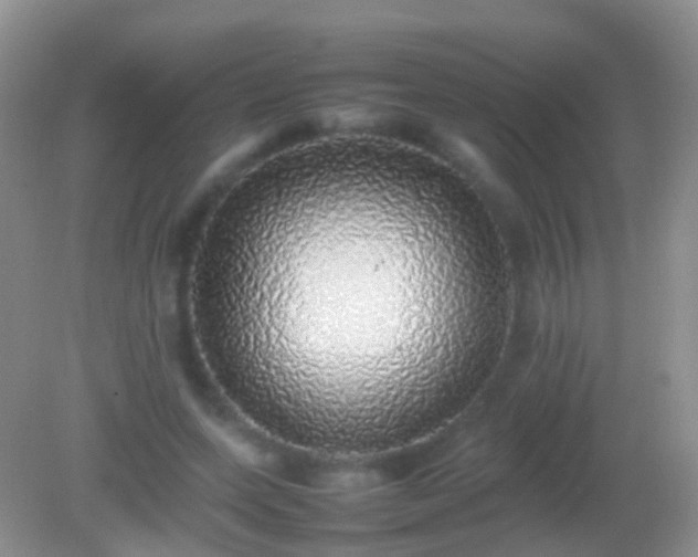 X0000082140543200701262245