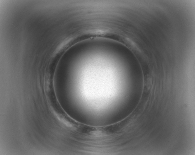X0000082140544200701262245
