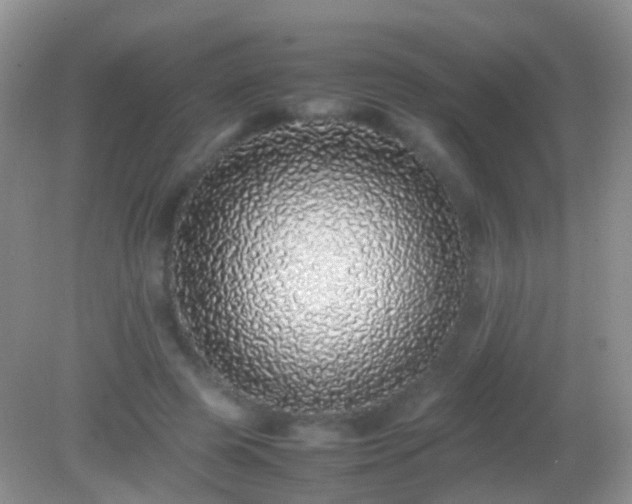 X0000082140545200701262245