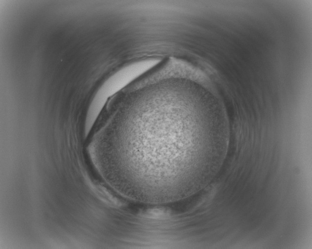 X0000082140546200701262245