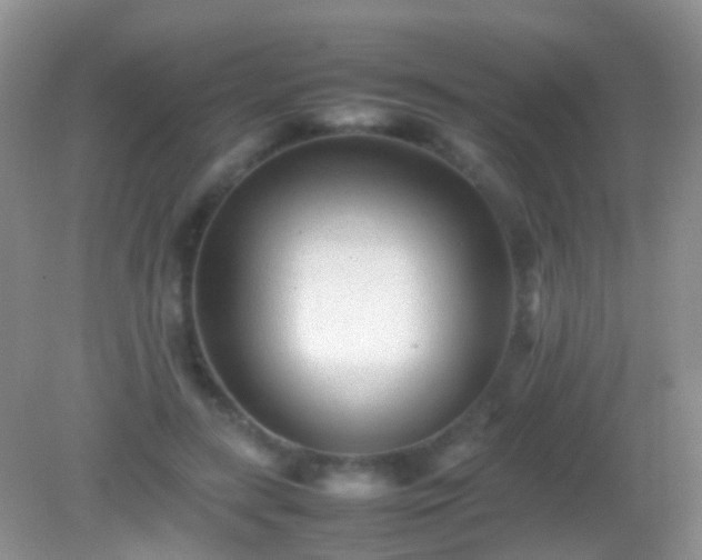 X0000082140547200701262245