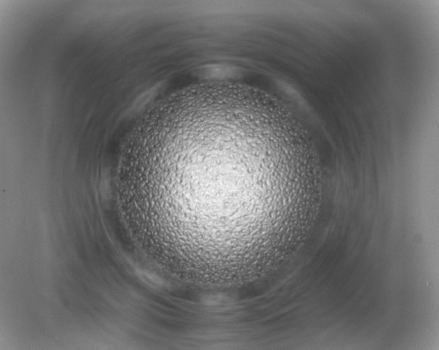 X0000082140549200701262245