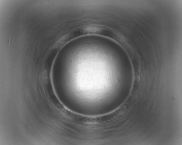X0000082140551200701262245