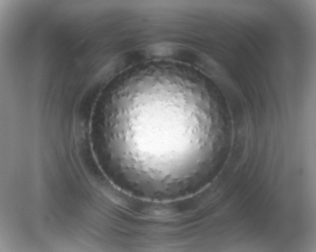X0000082140555200701262245