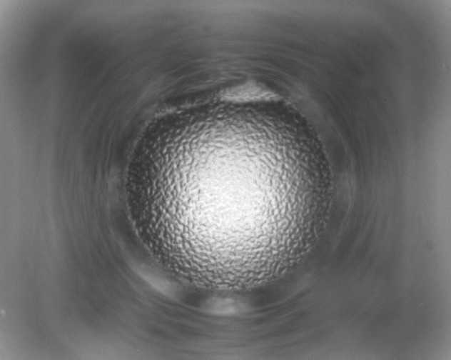X0000082140557200701262245