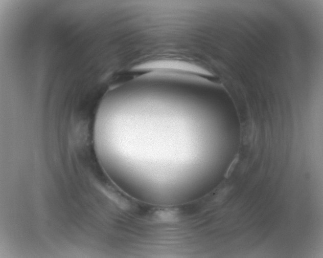 X0000082140560200701262245