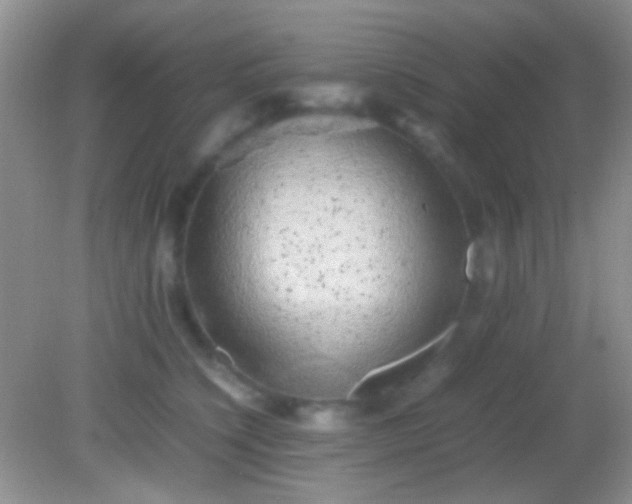 X0000082140564200701262245