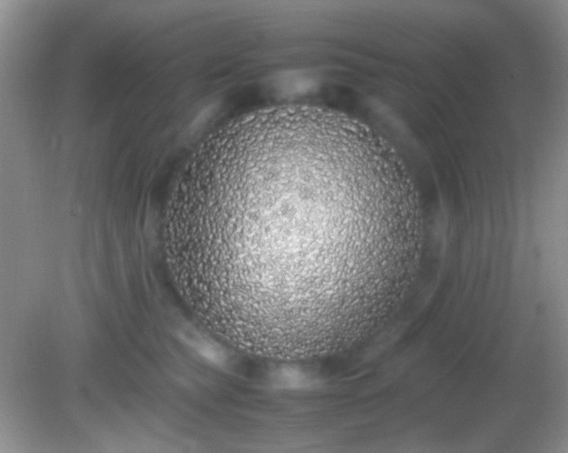 X0000082140565200701262245