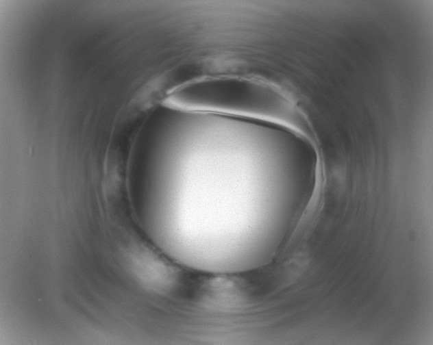 X0000082140566200701262245