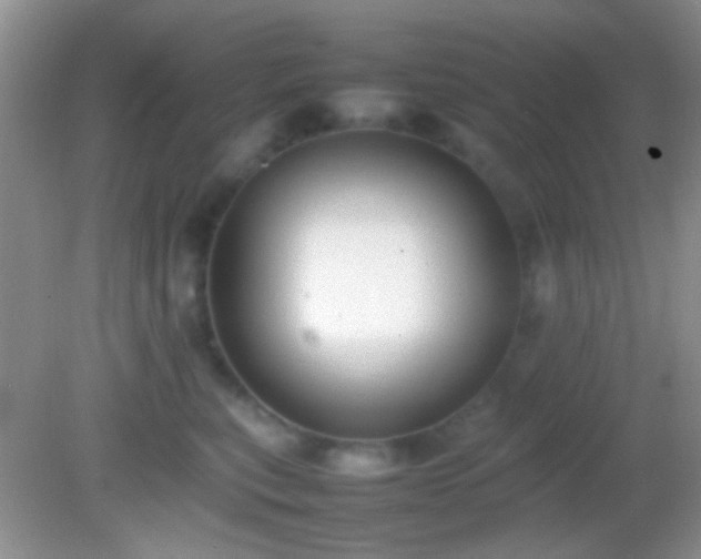 X0000082140567200701262245