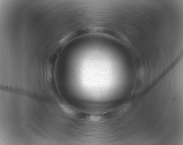 X0000082140570200701262245