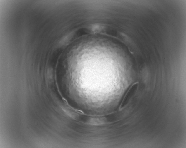 X0000082140571200701262245