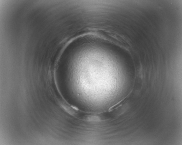 X0000082140572200701262245