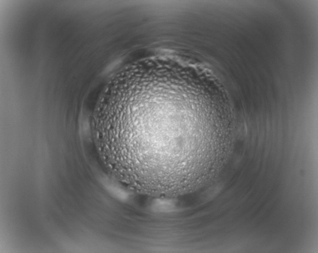 X0000082140573200701262246