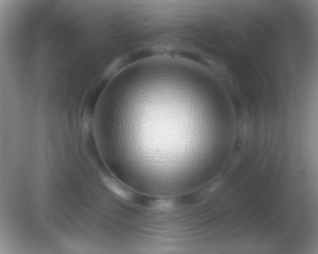 X0000082140574200701262246