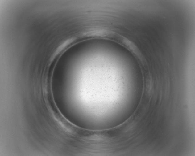X0000082140578200701262245
