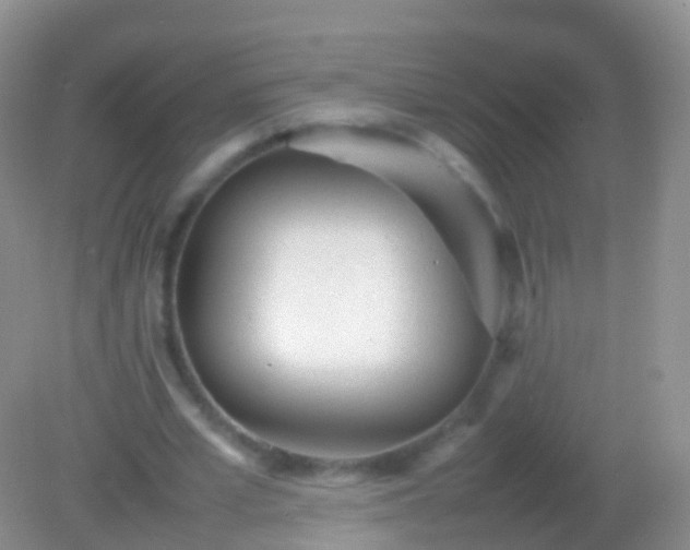X0000082140581200701262245