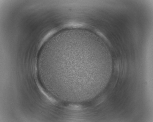 X0000082140582200701262245
