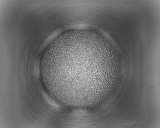 X0000082140586200701262245