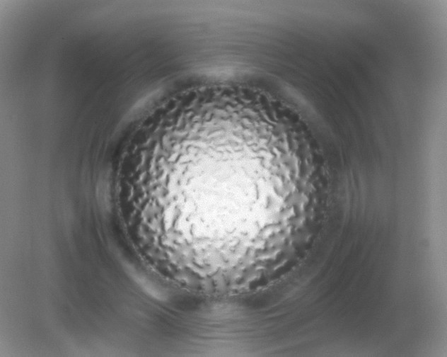 X0000082140590200701262245