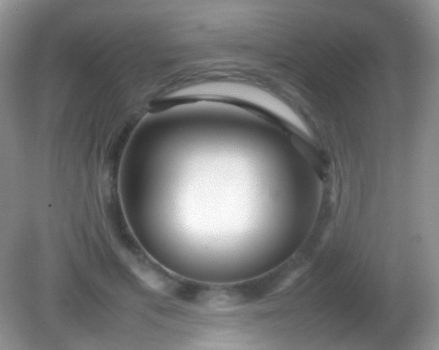 X0000082140597200701262244