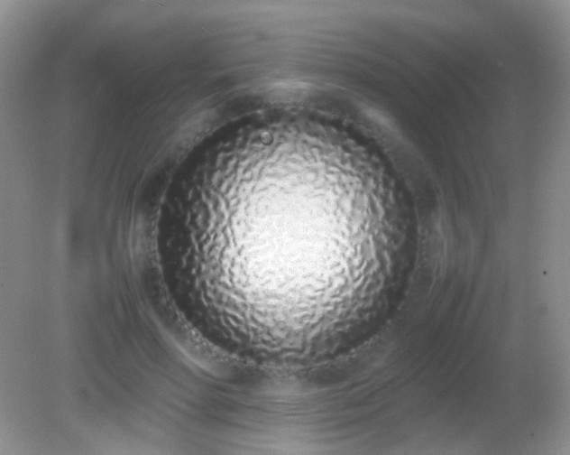 X0000082140598200701262244