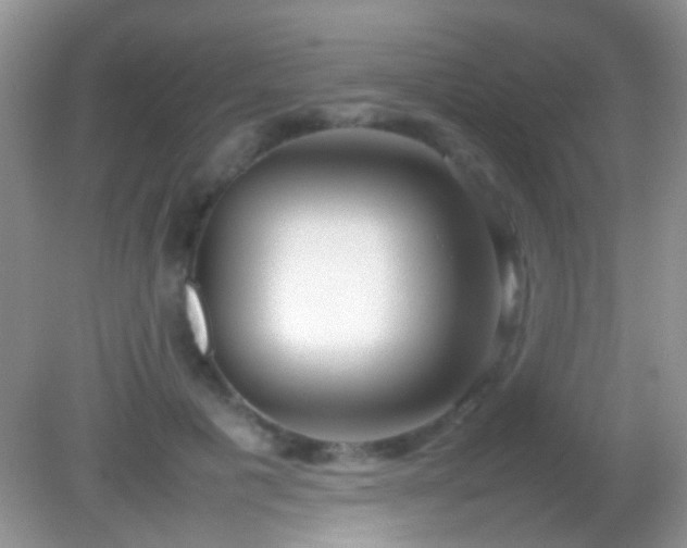 X0000082140601200701262244