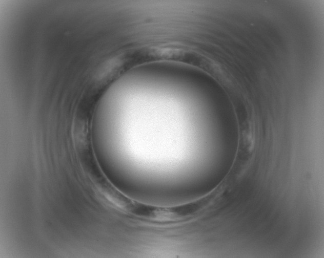 X0000082140605200701262244
