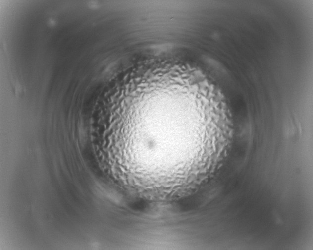 X0000082140607200701262244