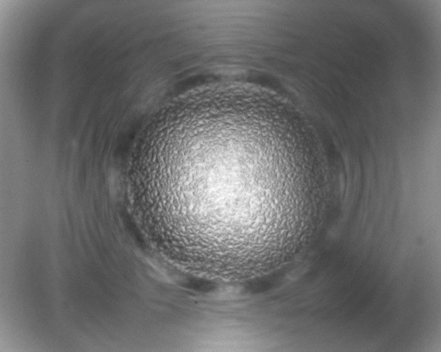 X0000082140609200701262244