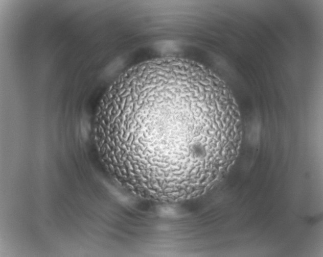 X0000082140618200701262244
