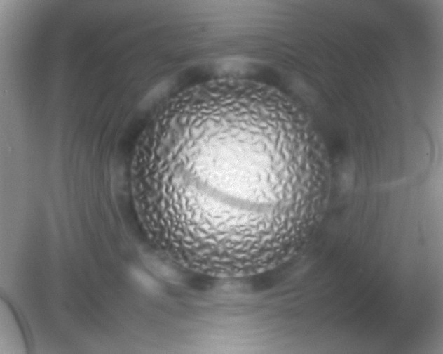 X0000082140619200701262244