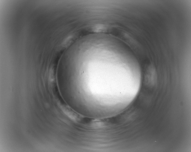 X0000082140620200701262244