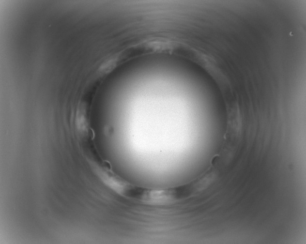 X0000082140622200701262244