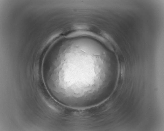 X0000082140627200701262243