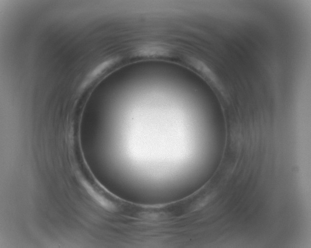 X0000082140629200701262243