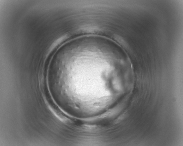 X0000082140630200701262243